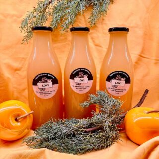 APPELSAP MET GEMBER 1L
